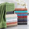SUPERIOR 100% Ring-Spun Cotton, Bathroom, Ultra Absorbent, Super Soft, Attractive Border, Aqua Marine Eco-Friendly 12-Piece Towel Set(Cranberry)