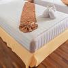Superior 100% Brushed Microfiber Pleated Bed Skirt, Queen, Chrome(Gold)