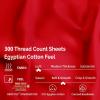 Superior 100% Egyptian Cotton 300 Thread Count Striped Bed Sheet Set, 1 Elastic Deep Pocket Fitted Sheet, 1 Flat Sheet, 2 Pillowcases, Soft Bedding, Sateen Weave, Hunter Green, Queen(Red)