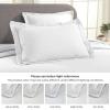 Superior 2 Piece Solitaire Cotton Bedspread Set, Home Bed Decor, Decorative Bed Spread, 1 Pillow Sham, Medium Weight Blanket, Matelasse Coverlet Bedding, Textured Quilted Pattern, Twin, Taupe(White – Z)