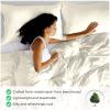 Superior 300 Thread Count Duvet Cover Set, 100% Modal from Beech, Solid, King/California King, White(Ivory)