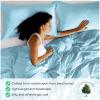 Superior 300 Thread Count Duvet Cover Set, 100% Modal from Beech, Solid, King/California King, White(Light Blue)
