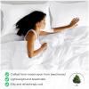 Superior 300 Thread Count Duvet Cover Set, 100% Modal from Beech, Solid, King/California King, White(White)