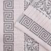 Superior 6-Piece Cotton Towel Set, Decorative Greek Pattern, Home Essentials, Absorbent Towels, Bathroom Decor, Spa, Resort, Includes 2 Hand, 2 Face and 2 Bath Towels, Athens Collection, Grey(Ivory-chrome)