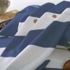 Superior Addison Cotton 300 Thread Count Duvet Cover Set, Comforter Cover, Bed Essentials, Coastal Striped Decor, Includes 1 Duvet Cover with Button Closure, 2 Pillow Shams, King/California King(Twin/Twin XL)