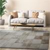 Superior Checkered Hand Woven Viscose Area Rug with Cotton Canvas Backing, Neutral Rug with Cool and Silky Soft Viscose Pile – Beige, 5’ x 8’ Rug(Checkered – Beige)