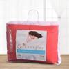 Superior Classic All-Season Reversible Comforter, Comfy, Fluffy, Cozy, Lightweight, Decorative, Duvet Insert, Plush, Oversized Bedding, Box Quilt Design, 4 Corner Loops, Full/Queen, Dusty Orange(Coral)