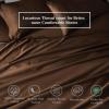 Superior Egyptian Cotton Standard Pillowcases, 650 Thread Count, 2-Pieces, Plum(Chocolate)