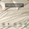 Superior Egyptian Cotton Standard Pillowcases, 650 Thread Count, 2-Pieces, Plum(Ivory)