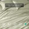 Superior Egyptian Cotton Standard Pillowcases, 650 Thread Count, 2-Pieces, Plum(Sage)