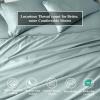 Superior Egyptian Cotton Standard Pillowcases, 650 Thread Count, 2-Pieces, Plum(Teal)