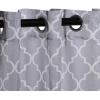 Superior Embellished Poppy Sheer Curtains, Window Accents, Perfect For Natural Light, Modern, Transtitional, Bohemian, Floral Design with Grommets, Curtain Set of 2 Panels, 52″ X 108″, Leaf Green(Grey)
