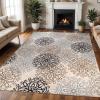 Superior Indoor Area Rug, Jute Backed, Perfect for Entryway, Office, Living/Dining Room, Bedroom, Kitchen, Hardwood Floor, Floral Scroll Decor, Leigh Collection, 8′ x 10′, Multi-Colored(Beige)