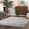 Superior Indoor Large Shag Area Rug with Non-Skid Foam Backing, Ultra-Soft and Fluffy Shaggy Rugs for Living Room, Bedroom, Office, Dining, Home Floor Decor, California Collection, Ivory, 5′ X 7′(Silver)