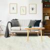 Superior Indoor Shag Modern Fuzzy Soft Cozy Shaggy Living/Dining Room, Bedroom, Office, Entryway, Kitchen, Dorm, Playroom, Kids, Nursery, Textured Area Rug, 2 ft 5 in x 12 ft, Sage(Ivory)