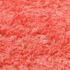Superior Indoor Shag Modern Fuzzy Soft Cozy Shaggy Living/Dining Room, Bedroom, Office, Entryway, Kitchen, Dorm, Playroom, Kids, Nursery, Textured Area Rug, 2 ft 5 in x 12 ft, Sage(Spiced Coral)