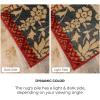 Superior Kensington Area Rug, 3′ x 5′, Toffee(Beige Red)