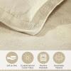 Superior Paisley 3 Piece Cotton Bedspread Set, Home Bed Decor, Decorative Bed Spread, 2 Pillow Shams, Medium Weight Blanket, Matelasse Coverlet Bedding, Vintage Floral Pattern, Queen, White(Ivory)