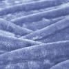 Superior Quality All-Season, Plush, Silky Soft, Fleece Blankets and Throws, Coral, King(Blue)