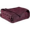 Superior Basketweave Cotton Blanket, Basket Weave Design, Soft, Comfy Cover for Bed, Bedding, Bedroom, Couch Throw, Lounging, Modern Boho Medium Weighted Blankets, Throw Size, Gold(Plum)