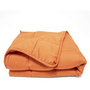 Superior Microfiber Weighted Blanket, Perfect for Adults, Heavy Blankets, Warm, Cozy, Comfy Bedding, Bedroom, Couch Throw, Blankets for Lounging, Modern Quilted Blanket, 48″ x 72″, 15 Pounds, Black(Canyon Clay)
