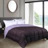 Superior Brushed Microfiber Comforter, Down Alternative Bedding, Medium Weight, Soft Bed Cover, Plush Duvet Insert, Oversized Blanket, Box Quilt, Reversible Comforter, Twin/Twin XL, Navy Blue(Plum-lilac)