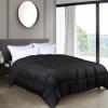 Superior Brushed Microfiber Comforter, Down Alternative Bedding, Medium Weight, Soft Bed Cover, Plush Duvet Insert, Oversized Blanket, Box Quilt, Reversible Comforter, Twin/Twin XL, Navy Blue(Black)