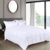 Superior Brushed Microfiber Comforter, Down Alternative Bedding, Medium Weight, Soft Bed Cover, Plush Duvet Insert, Oversized Blanket, Box Quilt, Reversible Comforter, Twin/Twin XL, Navy Blue(White)