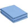 Light Blue Trellis