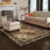 Superior Indoor Area Rug, Traditional Floral Classic Floor Decor for Bedroom, Entryway, Hallway, Office, Living/Dining, Plush Carpet Cover, Palmyra Collection, 5′ Round, Chocolate(Chocolate)