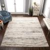 Superior Jharna Indoor Area Rug, Ivory, 5′ x 8′