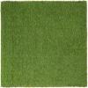 Superior Artificial Grass Indoor Outdoor Area Rug, Durable and Low maintainance, Fake Grass Turf with Drainage Holes, Backyard, Patio, Dog Pet Training, Rubber Back, 12″x12″, Green