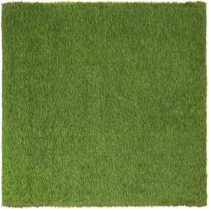 Superior Artificial Grass Indoor Outdoor Area Rug, Durable and Low maintainance, Fake Grass Turf with Drainage Holes, Backyard, Patio, Dog Pet Training, Rubber Back, 12″x12″, Green