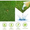 Superior Artificial Grass Indoor/Outdoor Area Rug, Faux Turf, Fake Grass for Backyard, Playground, Patio, Dog Pet Training, Synthetic Lawn, Floor Decor, Rubber Back, 1′ x 1′, Green