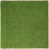 Superior Artificial Grass Indoor/Outdoor Area Rug, Faux Turf, Fake Grass for Backyard, Playground, Patio, Dog Pet Training, Synthetic Lawn, Floor Decor, Rubber Back, 1′ x 1′, Green