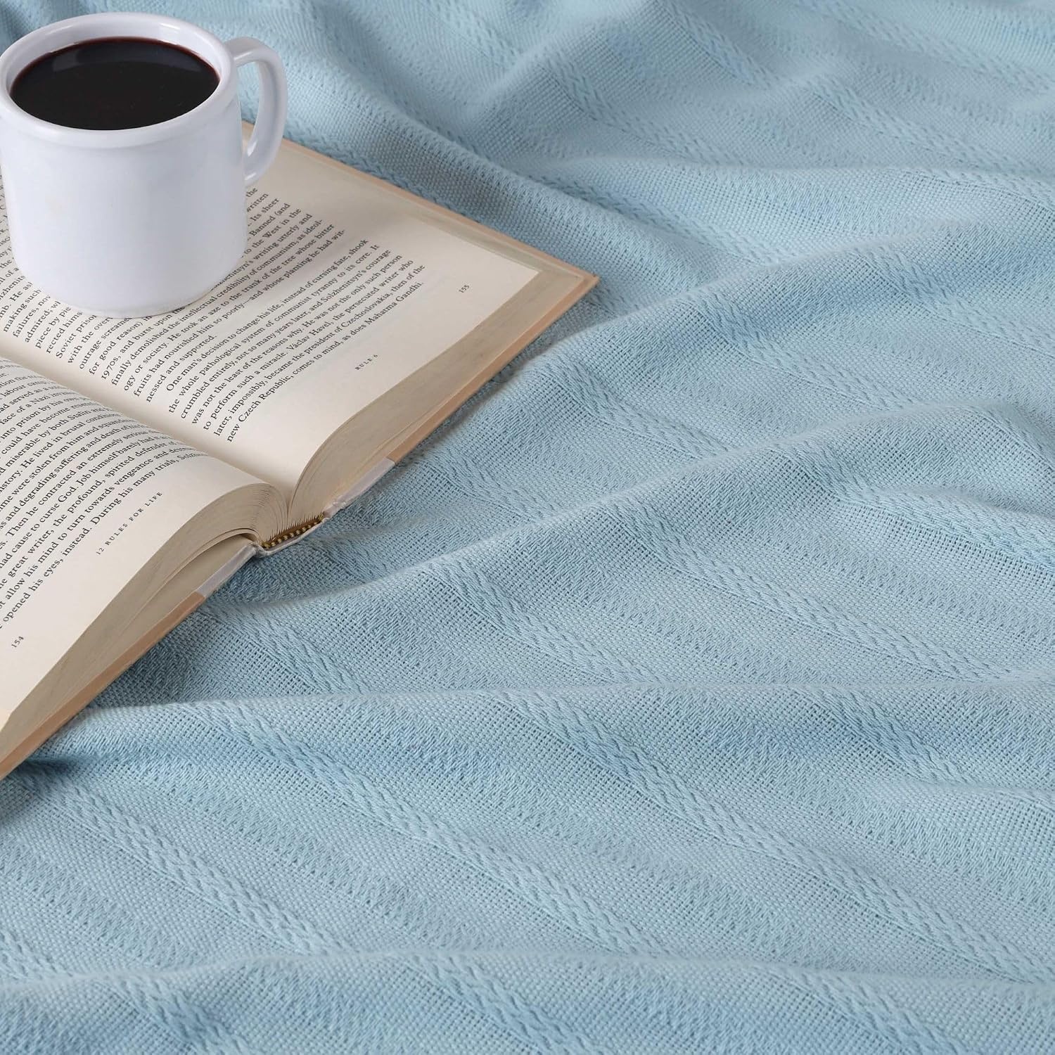 image:imageSUPERIOR Clara Cotton Blanket for Picnic Beach Traveling or Camping Bedroom Decor Essentials Cover for Bed Couch Lounging Textured Jacquard Striped Woven Blanket Twin IvoryLight Blue
