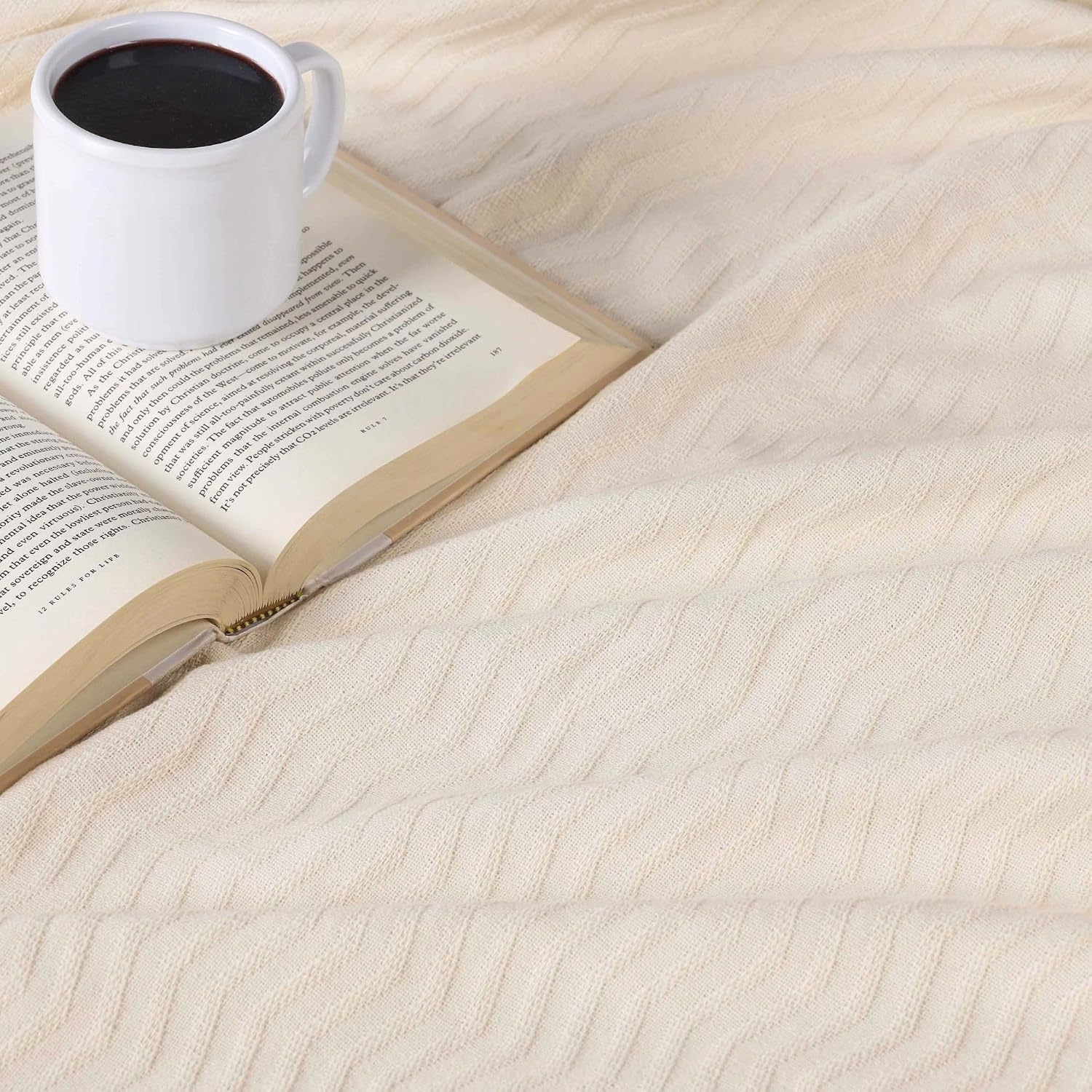 image:imageSUPERIOR JENA Cotton Blanket for Picnic Beach Traveling or Camping Bedroom Decor Essentials Cover for Bed Couch Lounging Textured Jacquard Modern Chevron Woven Blanket FullQueen IvoryIvory