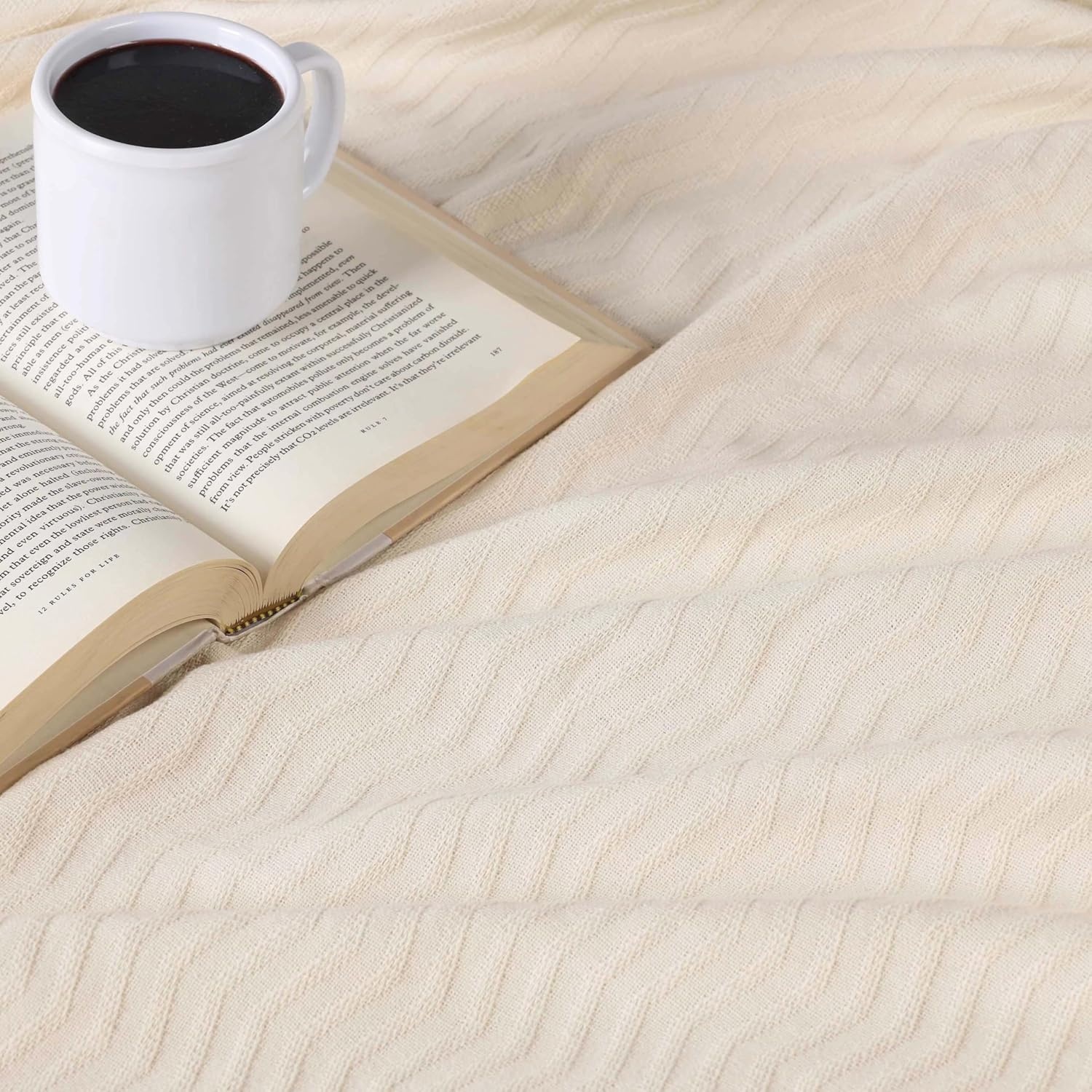 image:imageSUPERIOR JENA Cotton Blanket for Picnic Beach Traveling or Camping Bedroom Decor Essentials Cover for Bed Couch Lounging Textured Jacquard Modern Chevron Woven Blanket FullQueen IvoryIvory