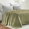 SUPERIOR Clara Cotton Blanket, for Picnic, Beach, Traveling or Camping, Bedroom Decor, Essentials, Cover for Bed, Couch, Lounging, Textured Jacquard, Striped Woven Blanket, Twin, Ivory(Sage)