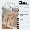 SUPERIOR Clara Cotton Blanket, for Picnic, Beach, Traveling or Camping, Bedroom Decor, Essentials, Cover for Bed, Couch, Lounging, Textured Jacquard, Striped Woven Blanket, Twin, Ivory(Khaki)