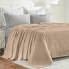 SUPERIOR Clara Cotton Blanket, for Picnic, Beach, Traveling or Camping, Bedroom Decor, Essentials, Cover for Bed, Couch, Lounging, Textured Jacquard, Striped Woven Blanket, Twin, Ivory(Khaki)
