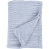 SUPERIOR Clara Cotton Blanket, for Picnic, Beach, Traveling or Camping, Bedroom Decor, Essentials, Cover for Bed, Couch, Lounging, Textured Jacquard, Striped Woven Blanket, Twin, Ivory(Blue)