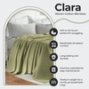 SUPERIOR Clara Cotton Blanket, for Picnic, Beach, Traveling or Camping, Bedroom Decor, Essentials, Cover for Bed, Couch, Lounging, Textured Jacquard, Striped Woven Blanket, Twin, Ivory(Sage)