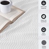 SUPERIOR JENA Cotton Blanket, for Picnic, Beach, Traveling or Camping, Bedroom Decor, Essentials, Cover for Bed, Couch, Lounging, Textured Jacquard, Modern Chevron Woven Blanket, Full/Queen, Ivory(White)