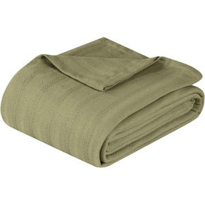 SUPERIOR Clara Cotton Blanket, for Picnic, Beach, Traveling or Camping, Bedroom Decor, Essentials, Cover for Bed, Couch, Lounging, Textured Jacquard, Striped Woven Blanket, Twin, Ivory(Sage)