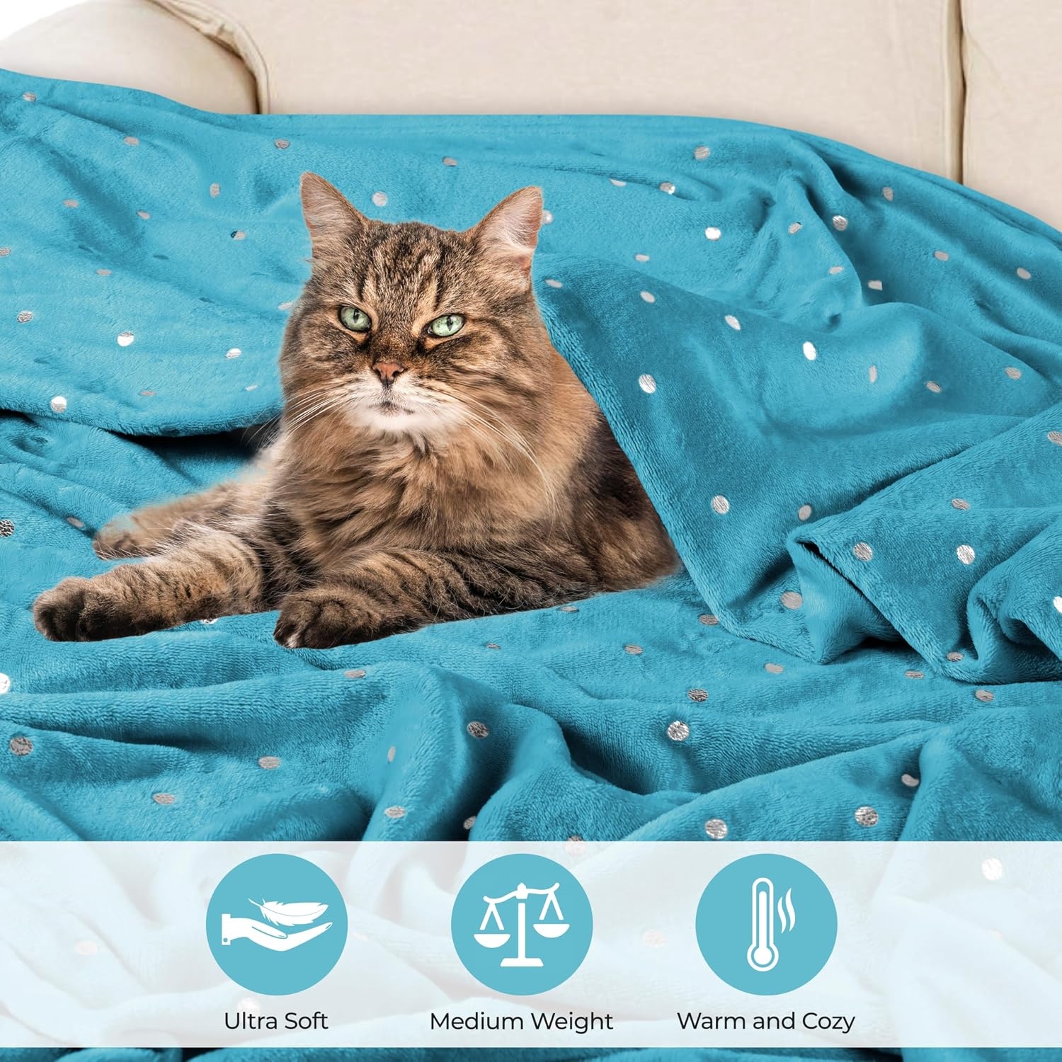 image:imageSuperior Fleece Blanket Plush Fluffy Soft Decorative Blankets for Bedroom Sofa Fuzzy Bedding Cute Woven Room Decor Beautiful Cover Comfort Essentials Polka Dot Throw Winter BlueWinter Blue