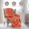 Superior Fleece Blanket, Plush, Fluffy, Soft, Decorative Blankets for Bedroom, Sofa, Fuzzy Bedding, Cute Woven Room Decor, Beautiful Cover, Comfort Essentials, Polka Dot, Throw, Winter Blue(Solid-creamsicle)