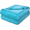 Superior Fleece Blanket, Plush, Fluffy, Soft, Decorative Blankets for Bedroom, Sofa, Fuzzy Bedding, Cute Woven Room Decor, Beautiful Cover, Comfort Essentials, Polka Dot, Throw, Winter Blue(Winter Blue)