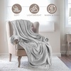 Superior Fleece Blanket, Plush, Fluffy, Soft, Decorative Blankets for Bedroom, Sofa, Fuzzy Bedding, Cute Woven Room Decor, Beautiful Cover, Comfort Essentials, Polka Dot, Throw, Winter Blue(Solid-platinum)