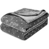 Superior Fleece Blanket, Plush, Fluffy, Soft, Decorative Blankets for Bedroom, Sofa, Fuzzy Bedding, Cute Woven Room Decor, Beautiful Cover, Comfort Essentials, Polka Dot, Throw, Winter Blue(Grey)